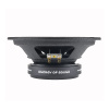 Динамики эстрадные AMP MASS FR80P150 20см