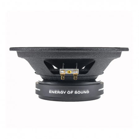 Динамики эстрадные AMP MASS FR80P150 20см