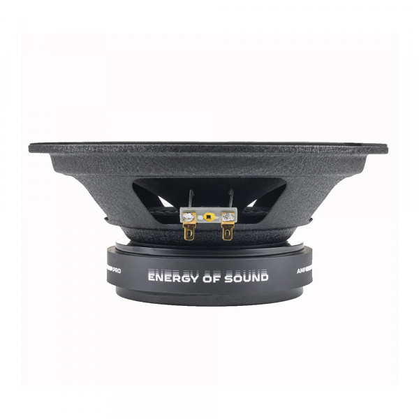 Динамики эстрадные AMP MASS FR80P150 20см